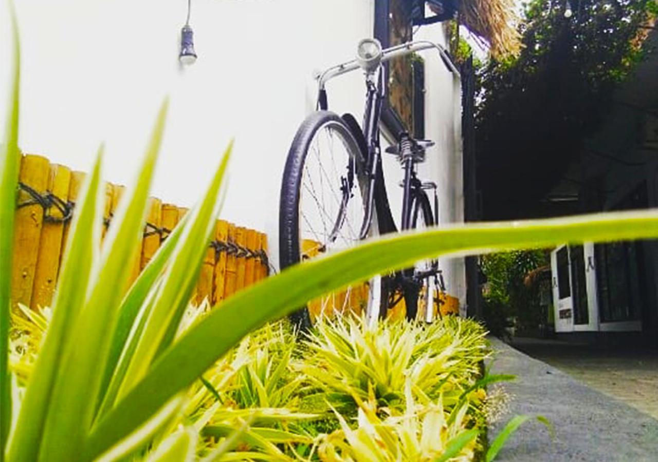 Rumah Roso Homestay Yogyakarta Ngoại thất bức ảnh