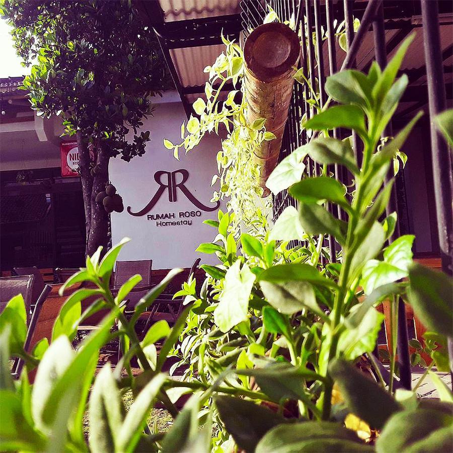 Rumah Roso Homestay Yogyakarta Ngoại thất bức ảnh